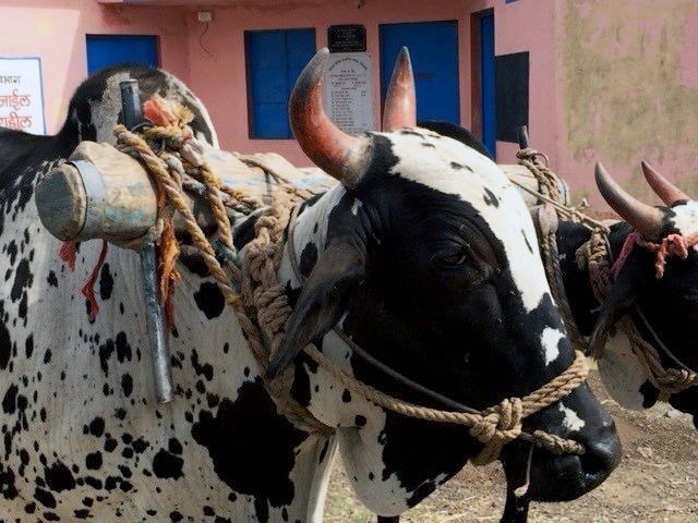 India